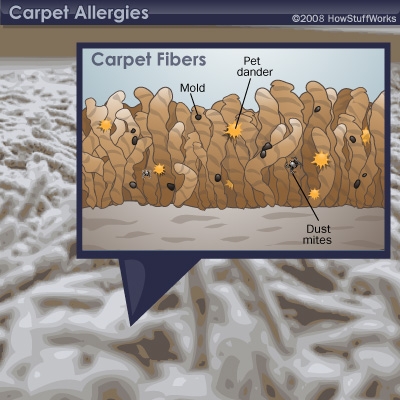 carpet can cause allergies